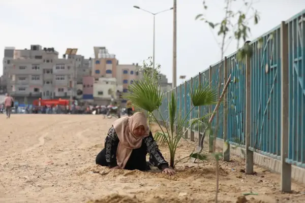 Son dakika haber: Gazze'de İsrail saldırılarında öldürülen çocuklar için ağaç dikme kampanyası