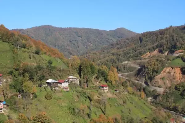 BAL ORMANINA TAŞ OCAĞI İÇİN BİLİRKİŞİ RAPORU EKOLOJİK DENGE YOK OLUR