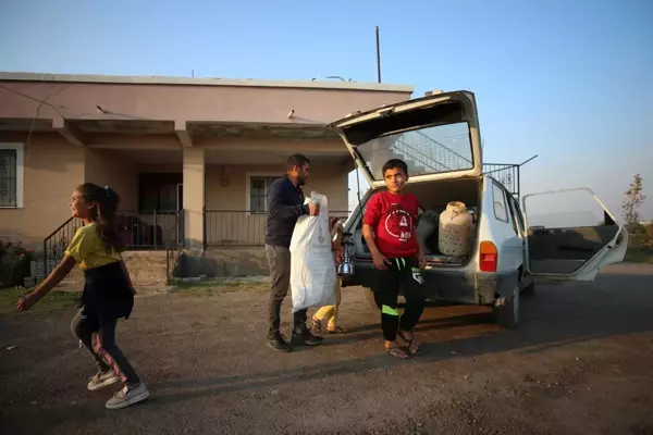 Türkiye'nin farklı kentlerinden toplanan kurbağalar Avrupa'ya ihraç ediliyor (1)