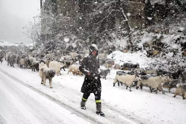 Rize'de kar yağışı nedeniyle 283 köy yolu ulaşıma kapandı