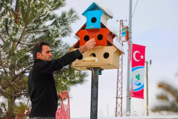 Van'da sokak hayvanları için yem bırakıldı