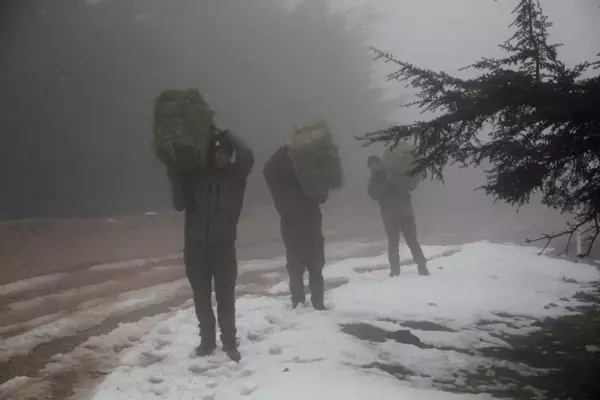 Kilis'te yaban hayvanları için doğaya yem bırakıldı