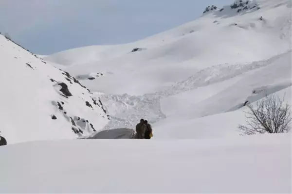 YÜKSEKOVA'DA BESİCİLER, ÇIĞDAN KIL PAYI KURTULDU