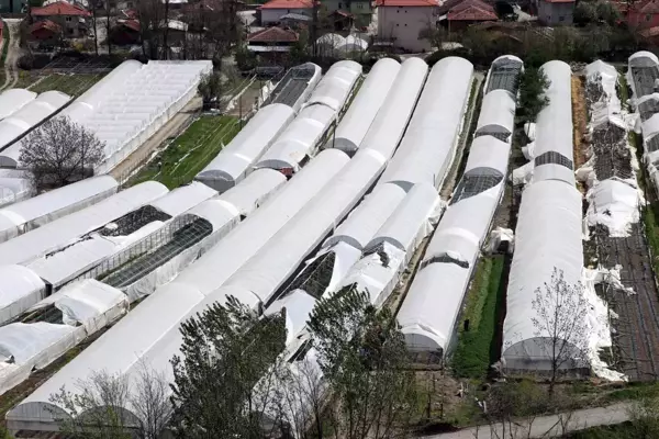 Amasya'da fırtına seralara zarar verdi