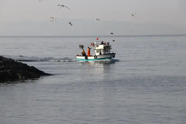 Tekirdağ'da ağlara takılmaya başlayan tekir, balıkçıları umutlandırdı