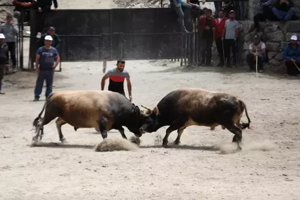 26. Çamlıhemşin Ayder Kültür, Sanat ve Doğa Festivali düzenlendi