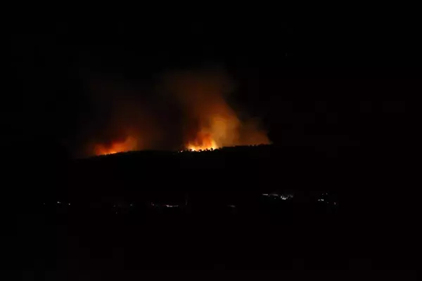 Kütahya'da çıkan orman yangınına müdahale ediliyor (2)