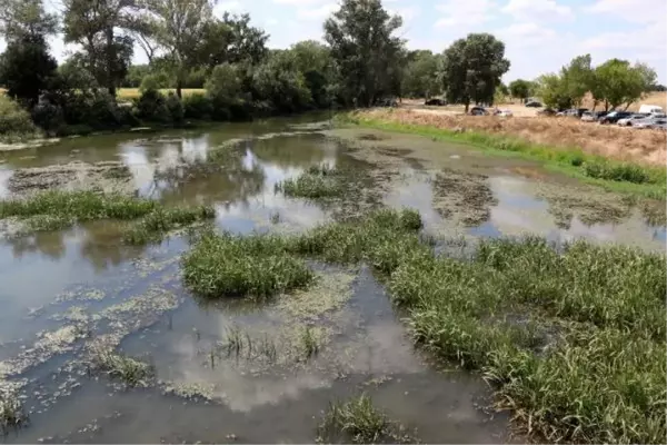 TUNCA NEHRİ'NDE DEBİ DÜŞTÜ, YÜZEYİ ÇÖP VE OTLARLA KAPLANDI