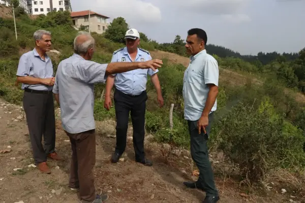 Yalova genel: Yalova'da şehre inen vahşi Yörük hayvanları, film gibi operasyonlarla yakalanıyor