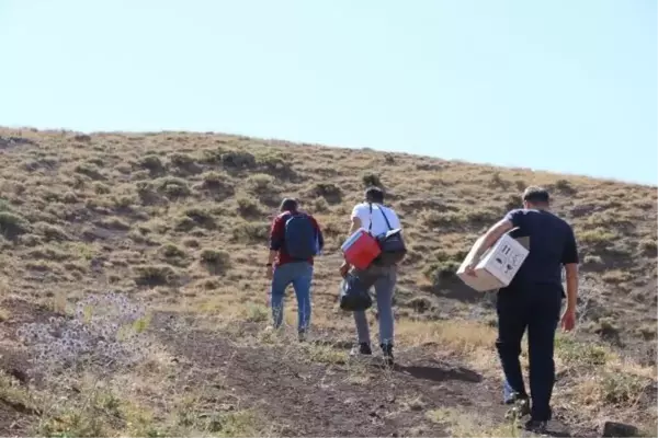 Yüksekova'da yaylalarda hayvan aşılama çalışmaları