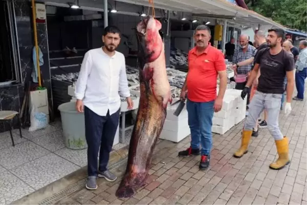 Samsun'da 94 kilogramlık yayın balığı satışa çıkarıldı