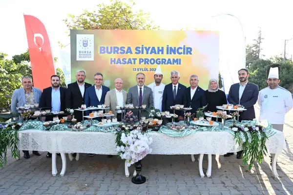 Bursa'nın 'siyah incisi'nde hasat başladı