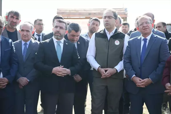 BUZAĞI ÖLÜMLERİNİ ENGELLEMEK İÇİN KARS'TA ÜRETİCİLERE 'AĞIZ SÜTÜ' DAĞITILDI