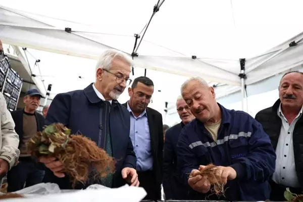 Nilüfer Belediyesi İnegazi ve Atlas Mahalleleri'nde Çilek Fidesi Dağıttı