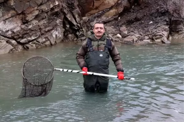 Kırmızı Benekli Alabalıkların Nesli Tehlike Altında