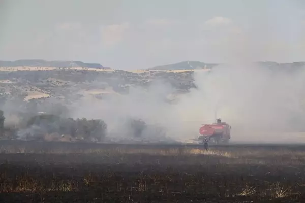 Manisa'da çıkan yangınlar kontrol altına alındı