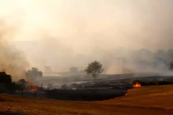 Balıkesir'de Orman Yangınına Havadan ve Karadan Müdahale