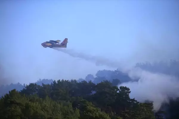 Dalaman'da yangın mı çıktı? Dalaman yangınında son durum ne?