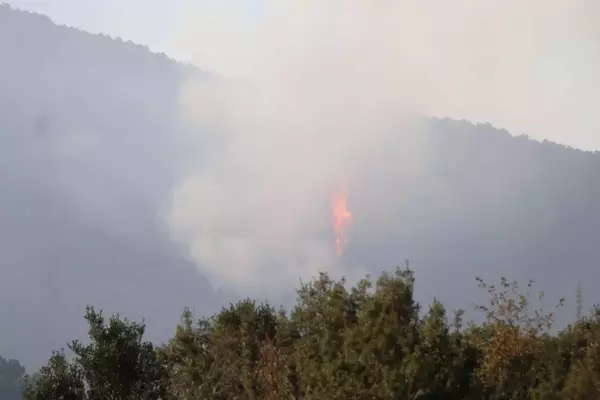 Denizli'deki orman yangınında 4'üncü güne girildi