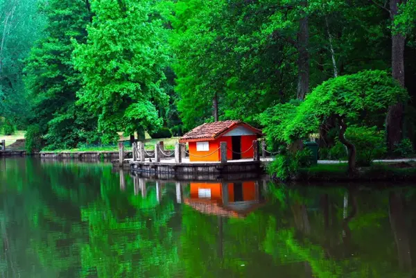 Atatürk Arboretumu nerede? Atatürk Arboretumu giriş ücretleri ve Atatürk Arboretumu ulaşım