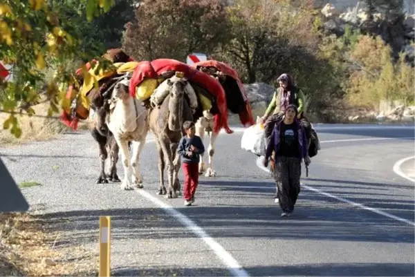 Yörüklerin develerle kış yurdu göçü başladı! Çoluk çocuk 25 gündür yoldalar