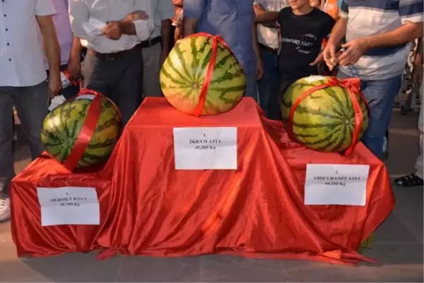 Kuraklık karpuzu da vurdu! Bu senenin karpuz şampiyonu, geçen yılın gerisinde kaldı