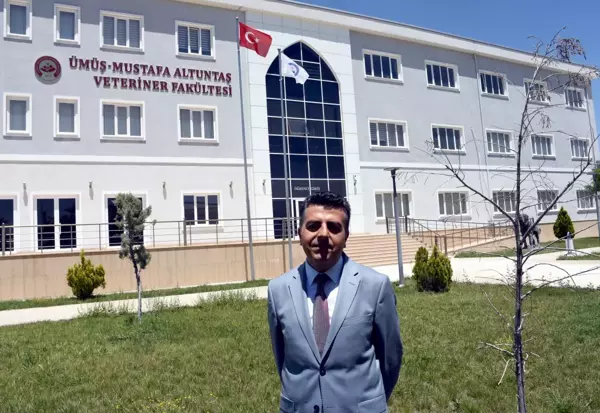 Popülasyondaki artış ve besin azlığı Tuz Gölü'nde yavru flamingo kayıplarına neden oluyor