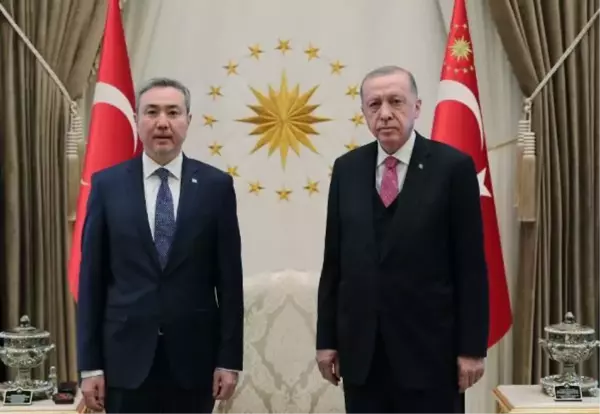 Cumhurbaşkanı Erdoğan, güven mektuplarını kabul etti