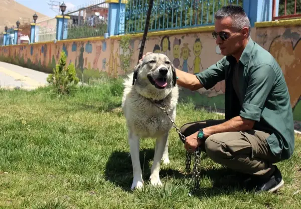 Ölüme terk edilen köpekle engellilerin 'Dost'luğu devam ediyor