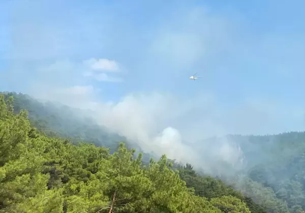 Kazdağları'nda yangın çıktı