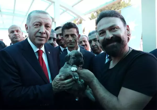 Cumhurbaşkanı Erdoğan'a Kangal yavrusu hediye edildi