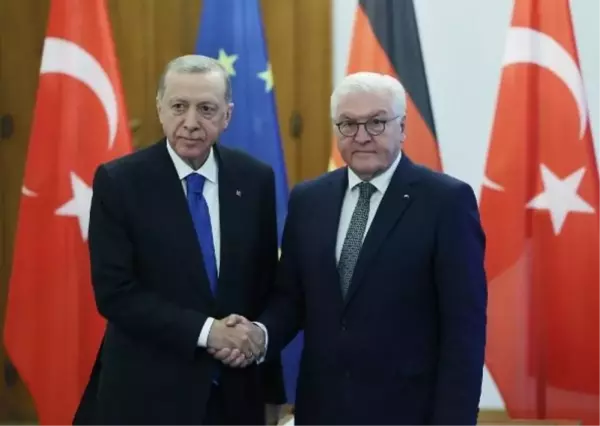 Erdoğan, Alman mevkidaşı Steinmeier ile bir araya geldi