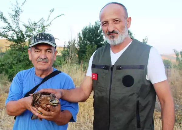 Son dakika gündem: Yaralı şahin tedavi altına alındı