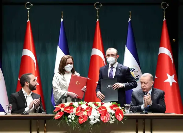 Cumhurbaşkanı Erdoğan: 