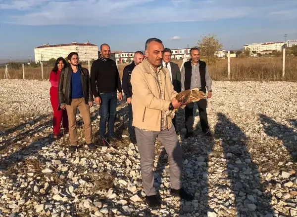 Afyon'da Tedavi Edilen Orman Kartalı ve Şahin Doğaya Salındı