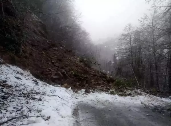 Heyelan ilçe yolunu trafiğe kapadı