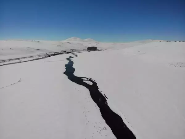 Kars'ta kar altındaki menderesler büyülüyor