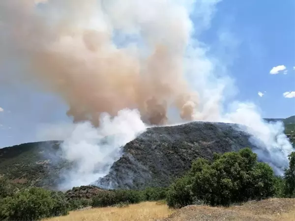 Elazığ'daki orman yangını kontrol altına alınmaya çalışılıyor