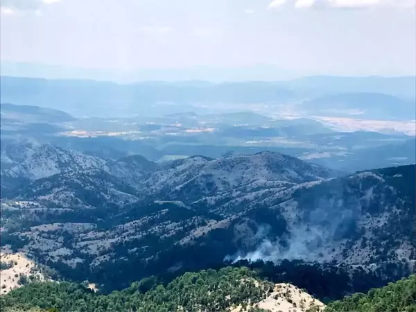 Muğla'da orman yangını