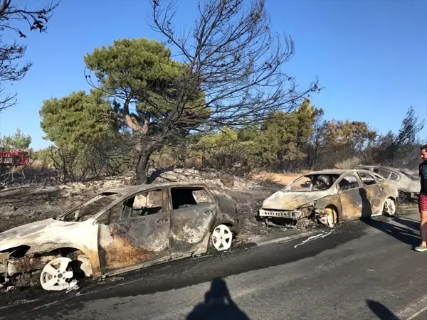 Seferihisar'da otluk alanda çıkan yangında yaklaşık 50 araç yandı