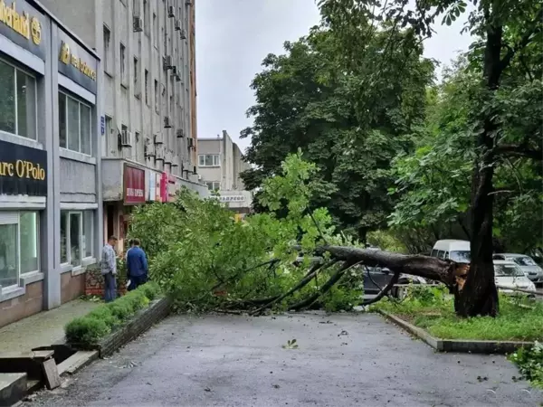 Maysak tayfunu Rusya'yı vurdu