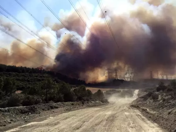 Gelibolu'daki yangın şiddetli rüzgarın etkisiyle büyüyor