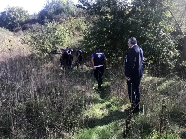 Büyükçekmece'de havadan ve karadan 'boz ayı' arama çalışmaları