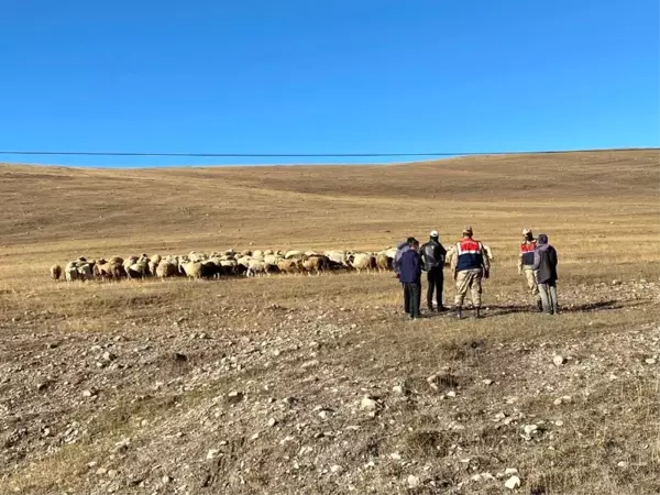 Son dakika haberi: Damal'da kayıp hayvanlar drone ile bulundu