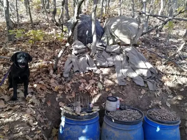 Son dakika! Bingöl'de EYP ve mühimmat ele geçirilerek imha edildi