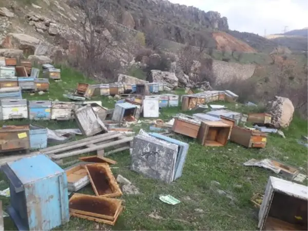 Hakkari'de kış uykusunda uyanan ayılar, 150 kovana zarar verdi