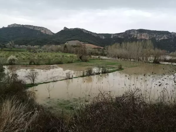 Göksu nehri taştı, tarım arazileri su altında kaldı