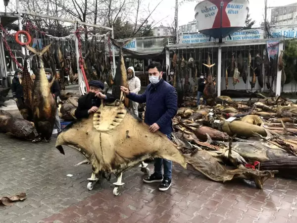 CHP'li belediyenin yıkım kararı aldığı balık müzesinin kurucusu Kenan Balcı, Cumhurbaşkanı Erdoğan'a seslendi- Müze kurucusu Kenan Balcı, 