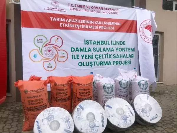 İSTANBUL TARIM İL MÜDÜRÜ: ÇELTİK ÜRETİMİ YAYGINLAŞACAK