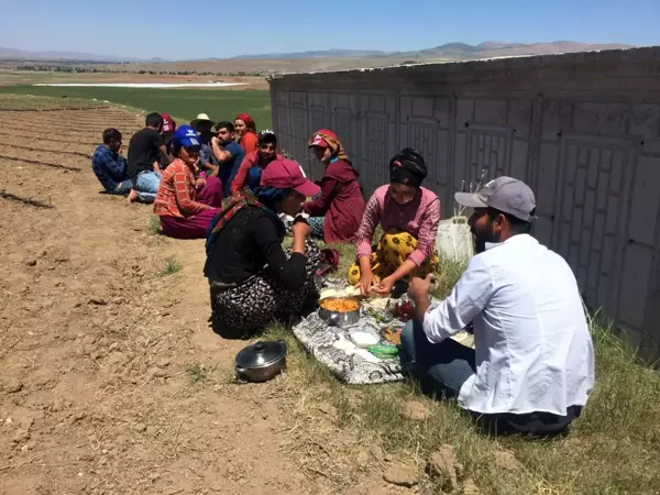 Mevsimlik işçilerin zorlu bayram mesaisi